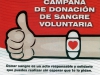 volante1-1 volante1-1