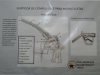 IMG-20150702-WA0000 IMG-20150702-WA0000